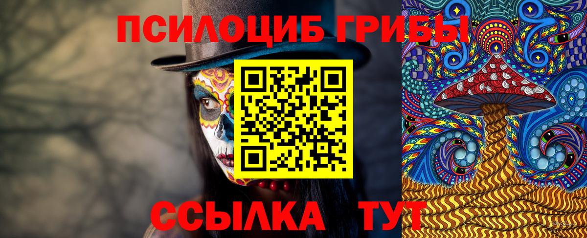 Артём  Псилоцибиновые грибы ЛСД  Вход с VPN  Псилоцибиновые грибы GOLDEN TEACHER 
