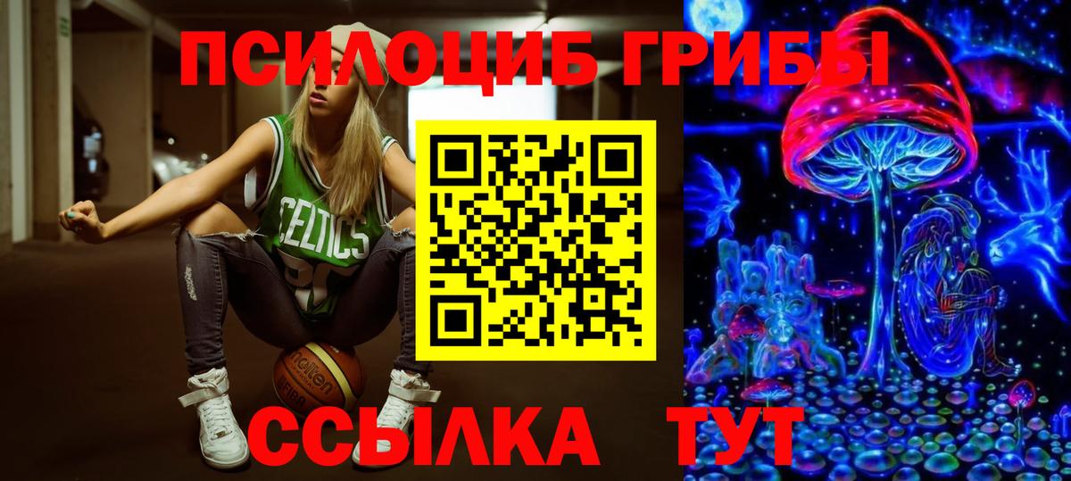 Галлюциногенные грибы Psilocybine cubensis Артём